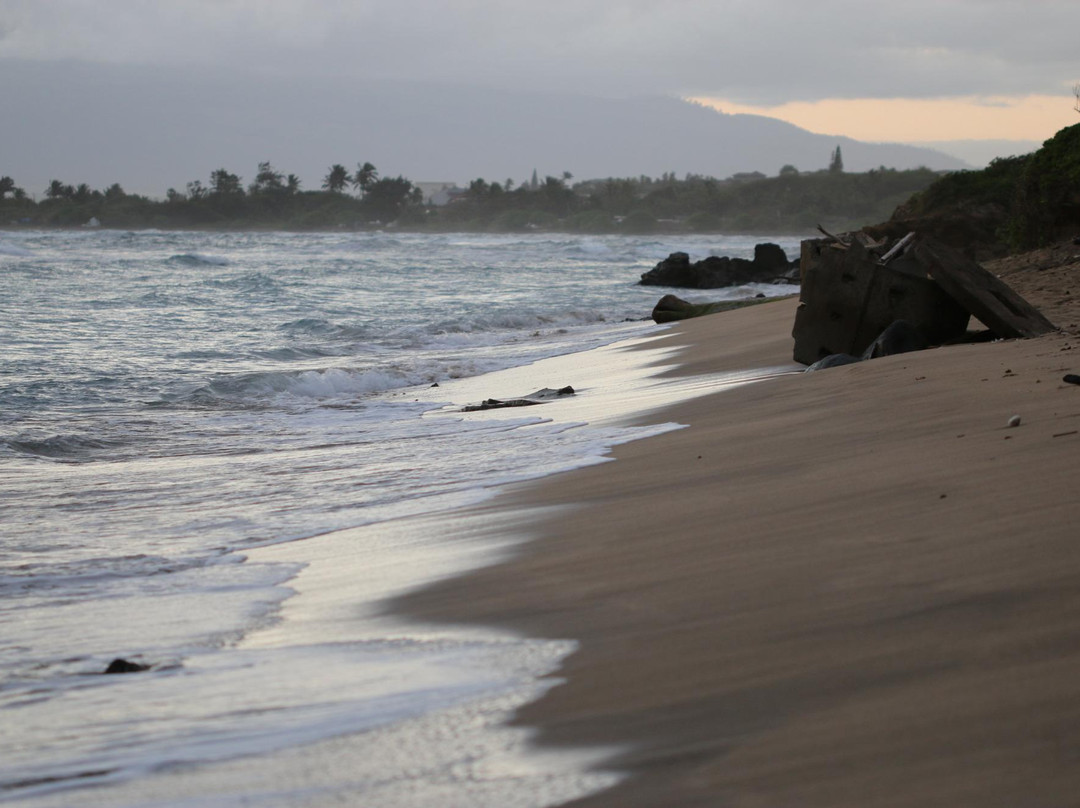 Waiehu Beach Park景点图片