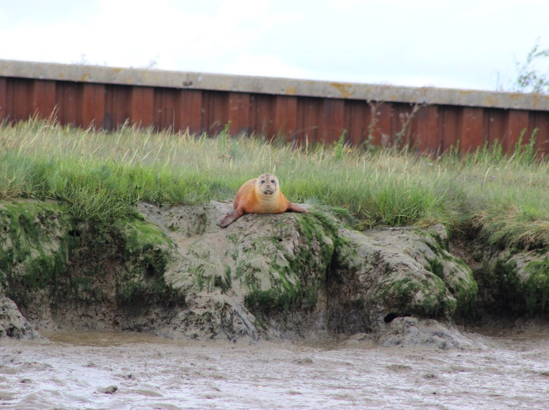 Wildlife Boat Trips景点图片