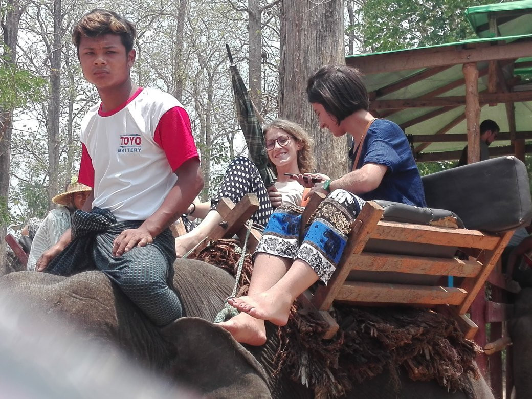 Pho Kyar Elephant Camp-Taungoo必去景点