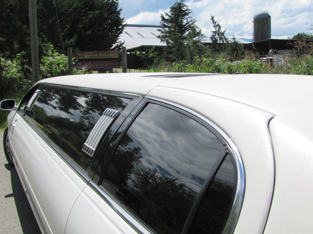 Miracle Mile Limousine Services and Sightseeing Tours景点图片