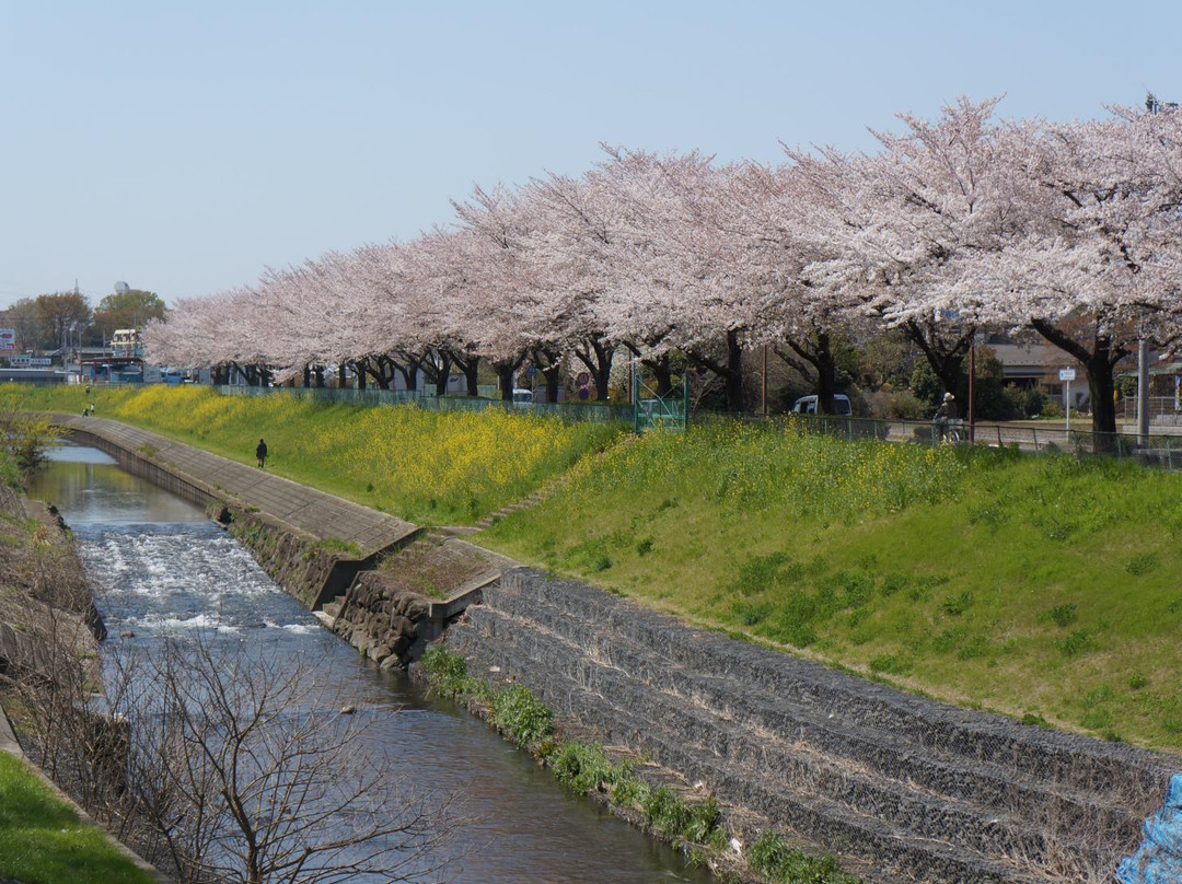 Myoonsawa Special Green Conservation Area-新座市必去景点