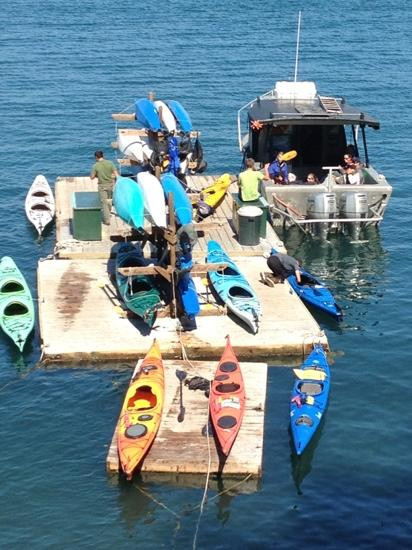 St. Augustine's Sea Kayak And Day Tours-荷马必去景点