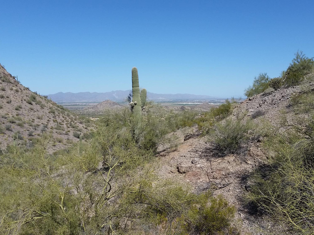 嘉年旅游景点-Estrella Mountain Regional Park
