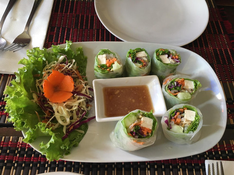 Taste from Heaven - Vegetarian and Vegan Cooking School-清迈府必去景点