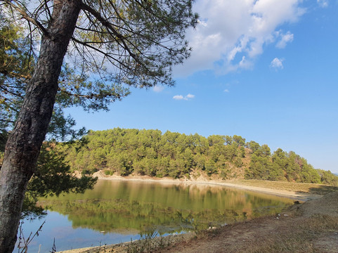 Rent Car & More Rroshi