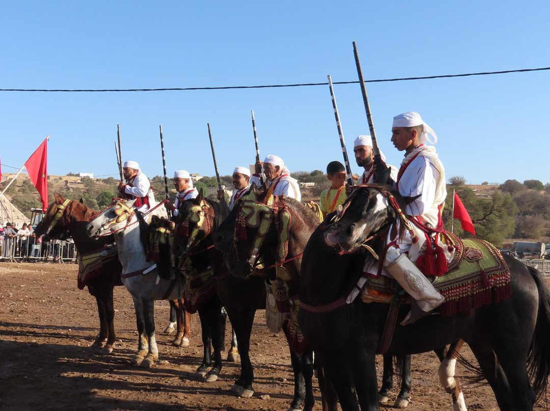 China Odyssey Tours Huangshan-黄山市必去景点