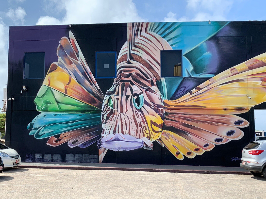 Aruba Mural Tours景点图片