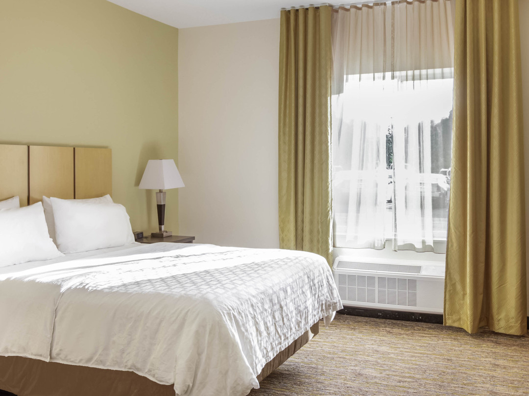 Candlewood Suites Brighton By IHG主图