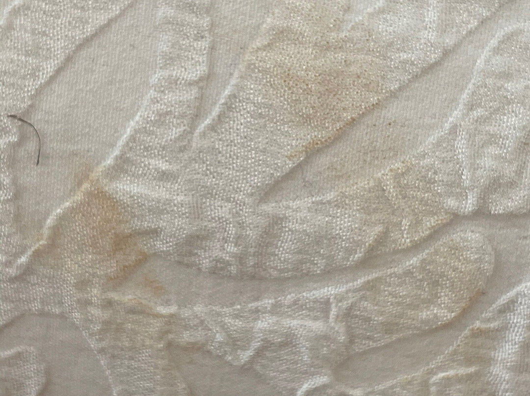 Hampton Inn & Suites Manchester-Bedford主图