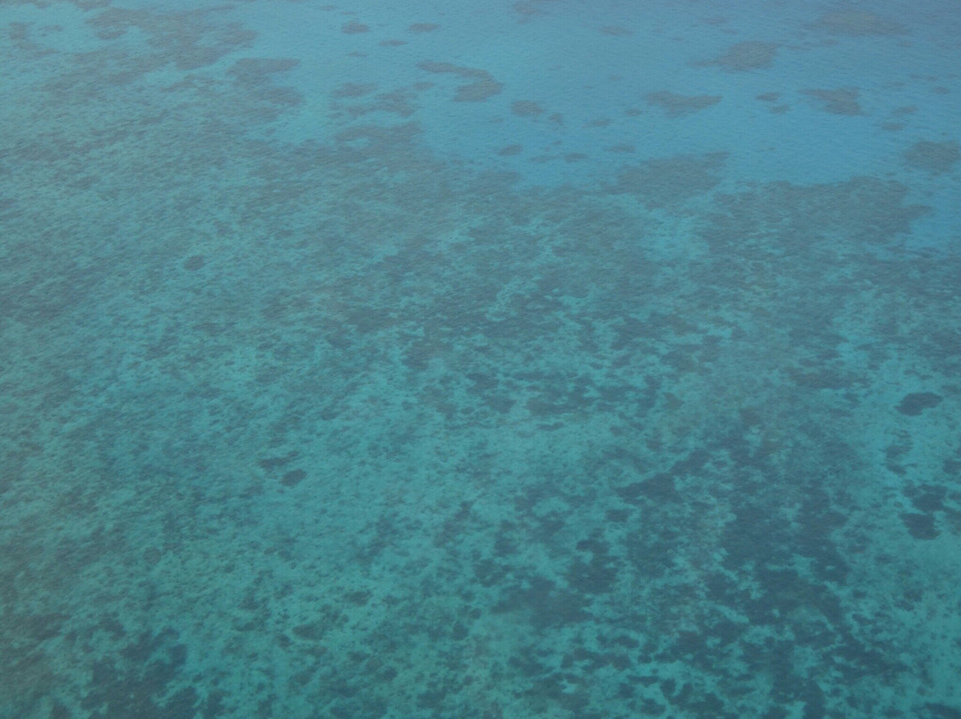 Cairns Scenics景点图片