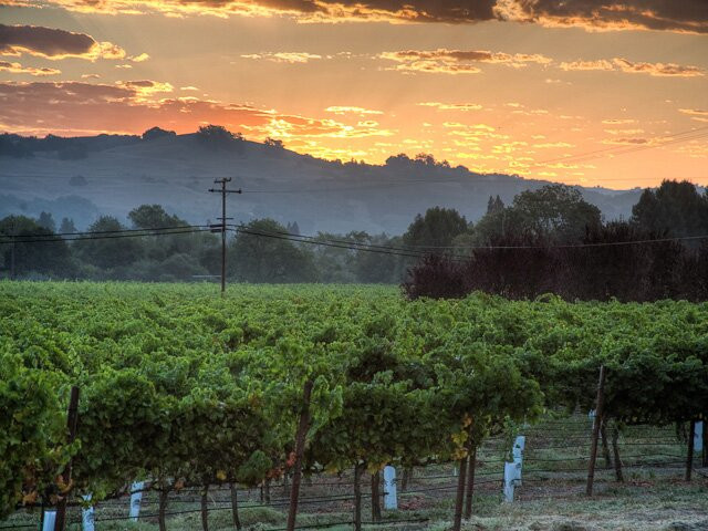 Mill Creek Vineyards and Winery景点图片