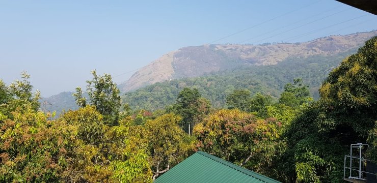 Grace Inn Homestay Munnar-官方