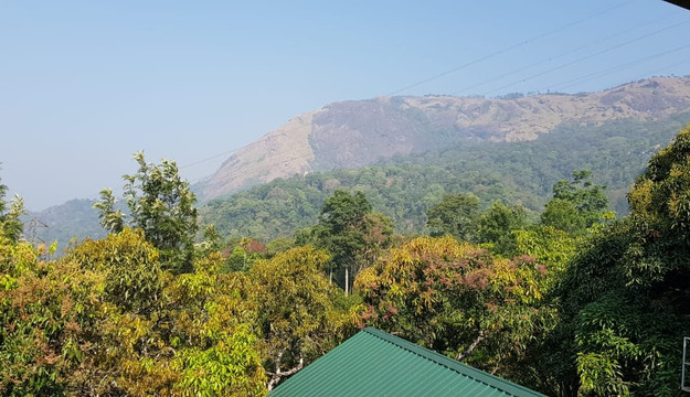 Grace Inn Homestay Munnar主图