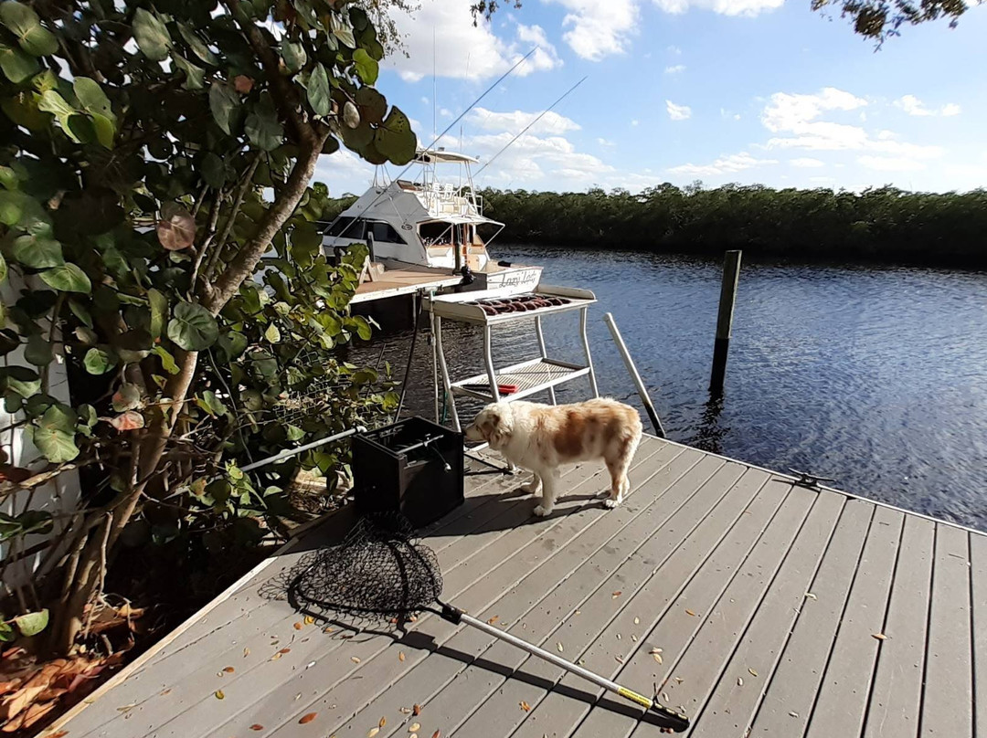 Pirates Pointe Resort主图