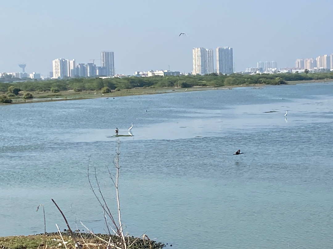 Pulicat Boating - Roy Pulicat Lake Boating景点图片