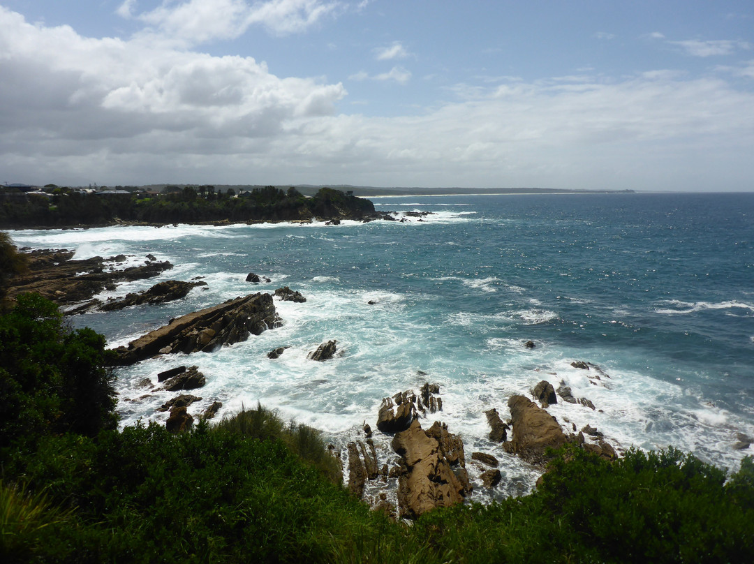 Ocean Parade Lookout Dalmeny景点图片