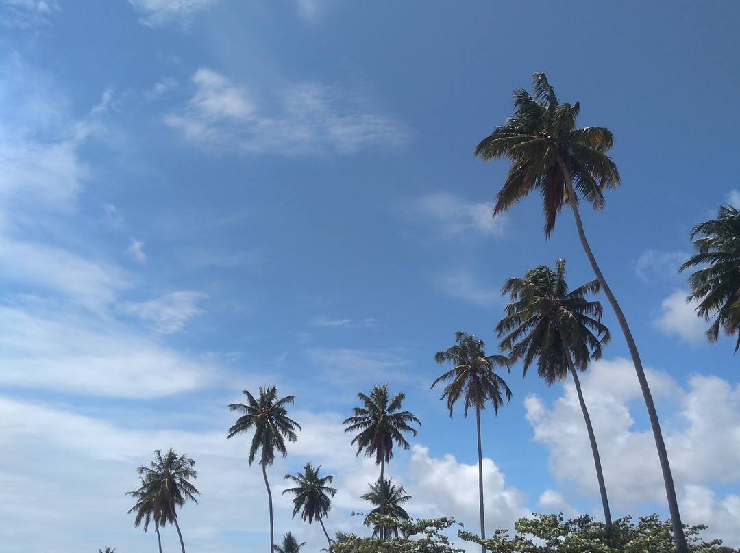 Praia de São Miguel dos Milagres-Sao Miguel dos Milagres必去景点