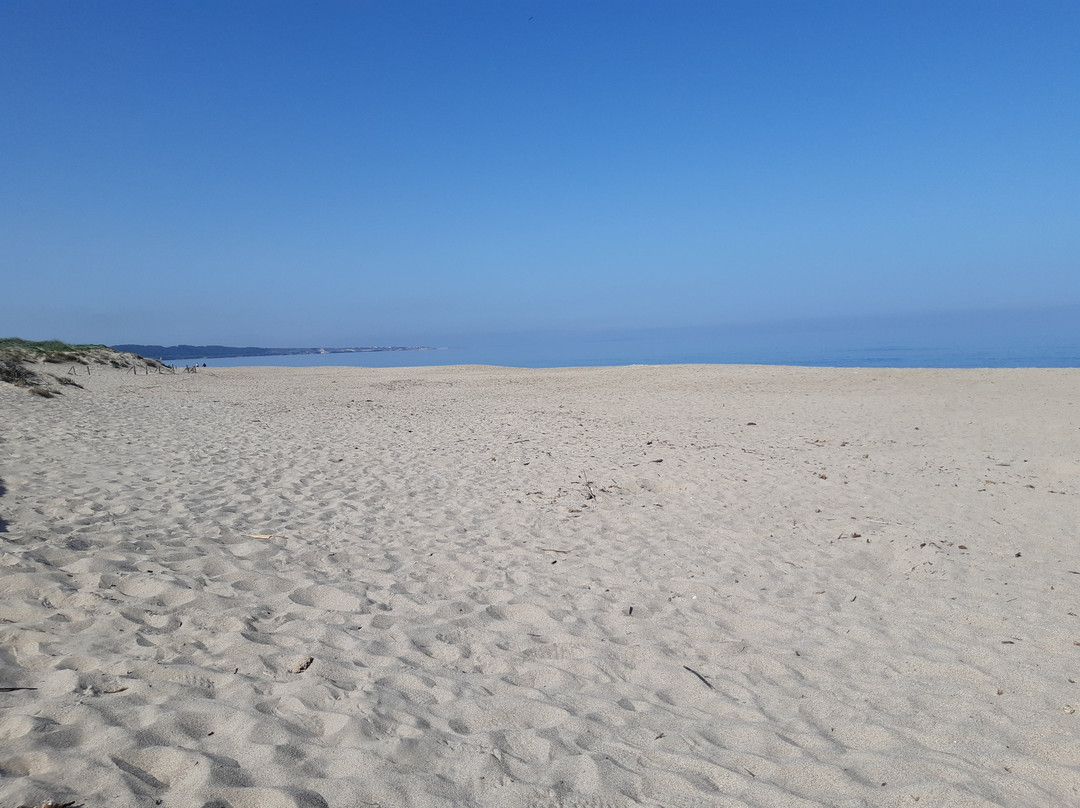 Spiaggia di Platamona-Platamona必去景点