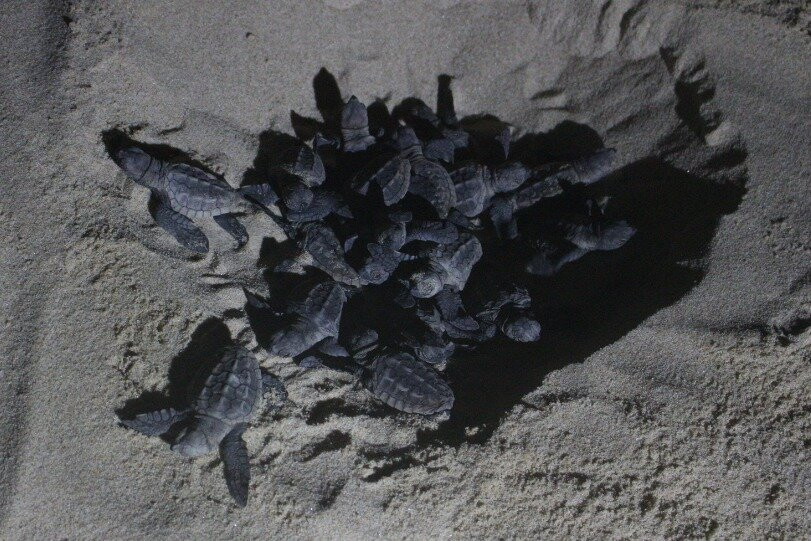 Kosi Bay Casitas Tours-Kosi Bay必去景点