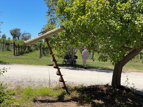 Ezyride Mudgee-马奇必去景点
