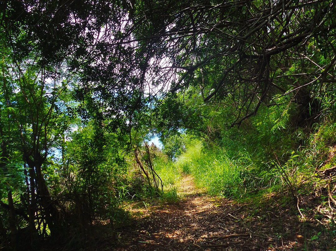 Notre Dame Du Pacifique-努美阿必去景点