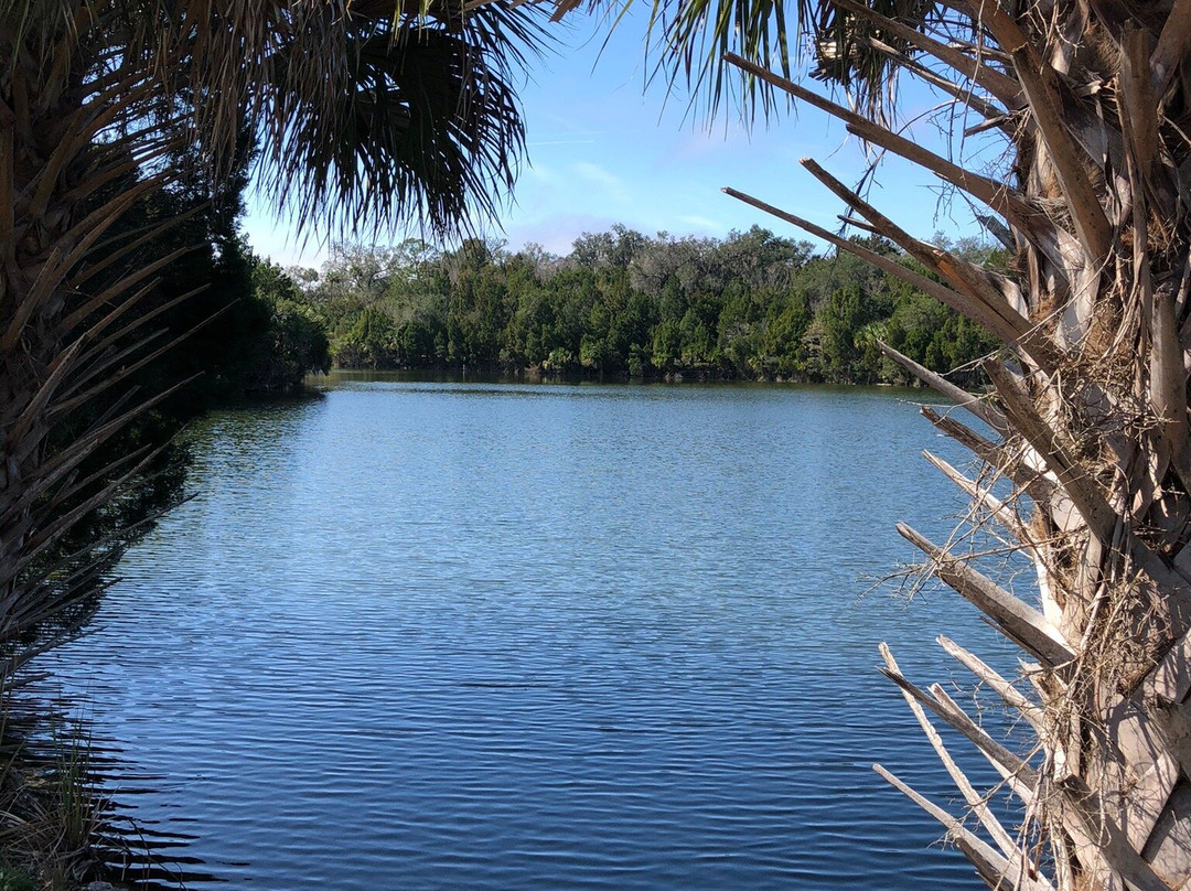 Crystal River Preserve State Park-克里斯特尔里弗必去景点