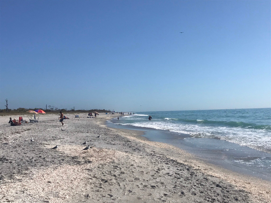 Stump Pass Beach State Park-恩格尔伍德必去景点