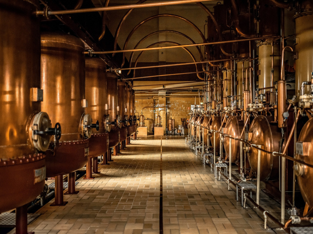 Distillerie Carre Cointreau景点图片