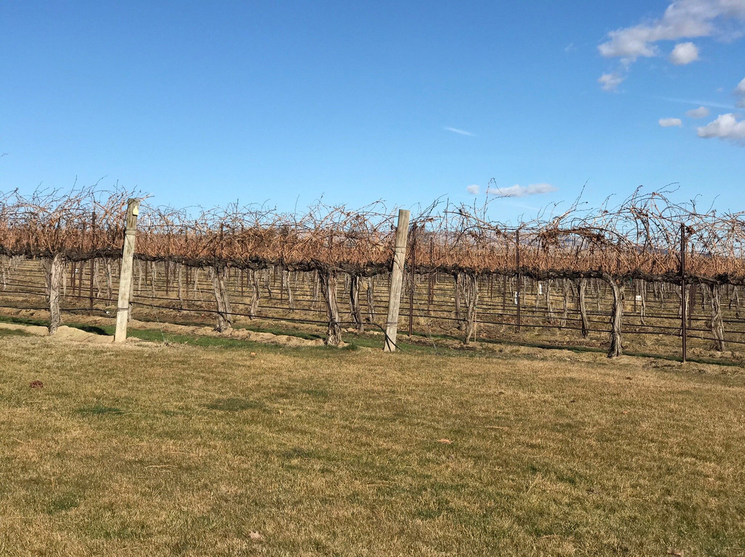 Barrel Springs Winery-Prosser必去景点