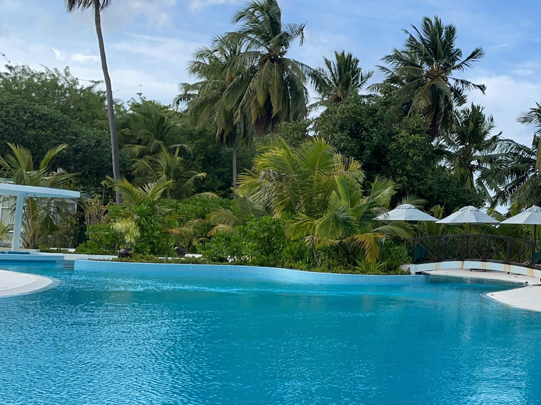 Lodger Guest House主图