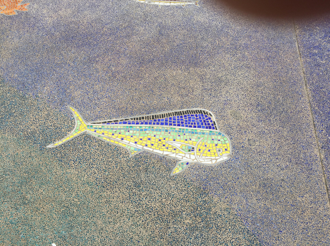 Veterans Memorial Park-德纳角必去景点