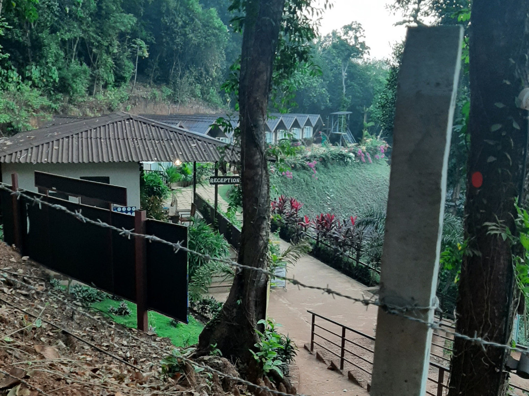 Stone Wood Premier Gokarna主图