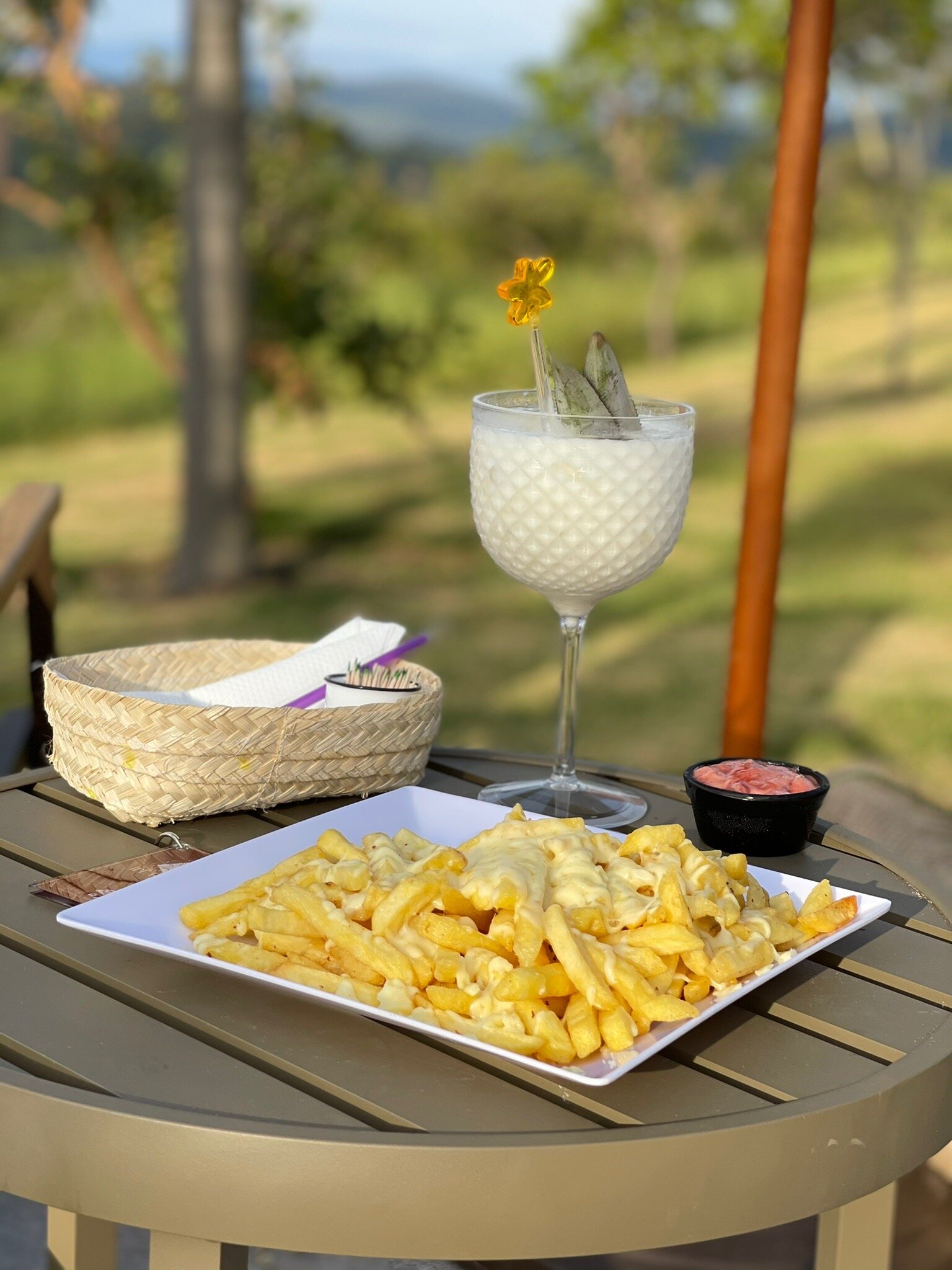 Capao do Cerrado Pousada e Spa-官方