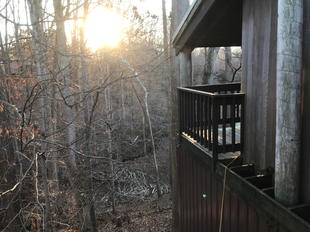 Tims Ford State Park-Winchester必去景点