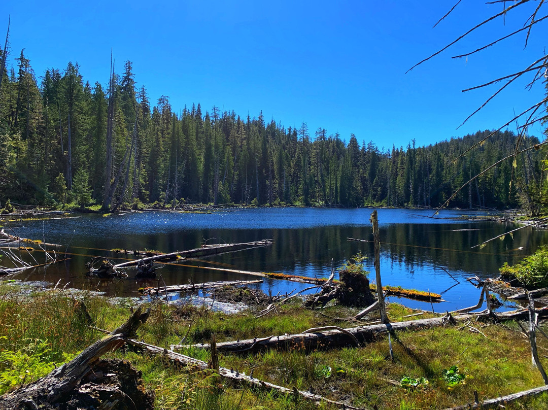 K'yuu Aanagung / Spirit Lake Connector Trail