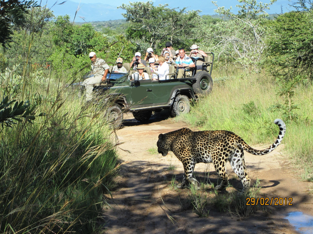 Mopaya Safari Lodge