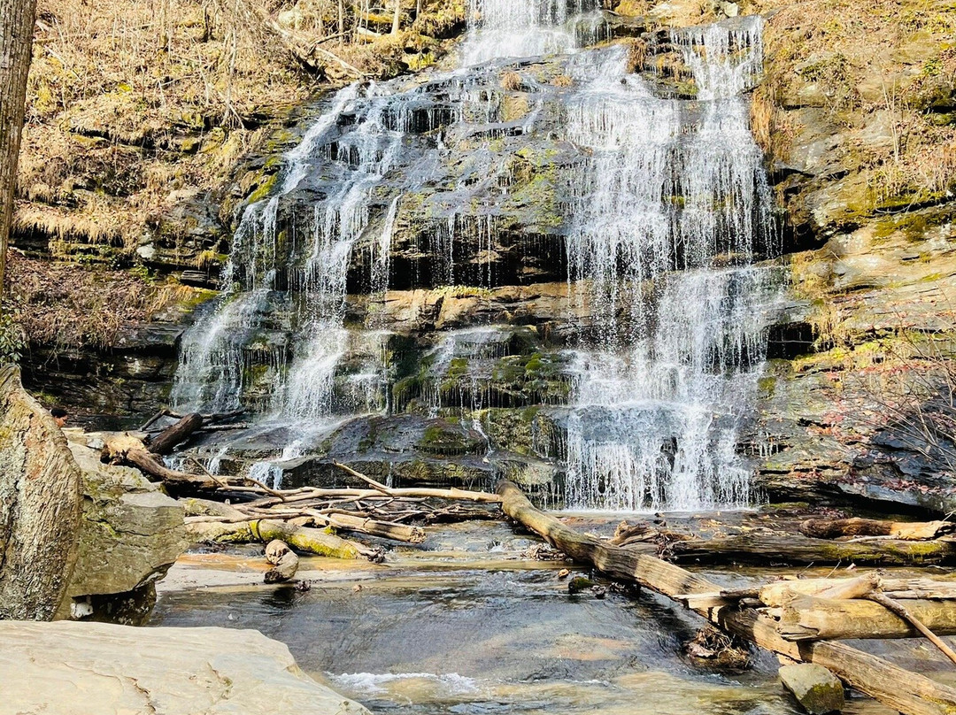 Station Cove Falls景点图片