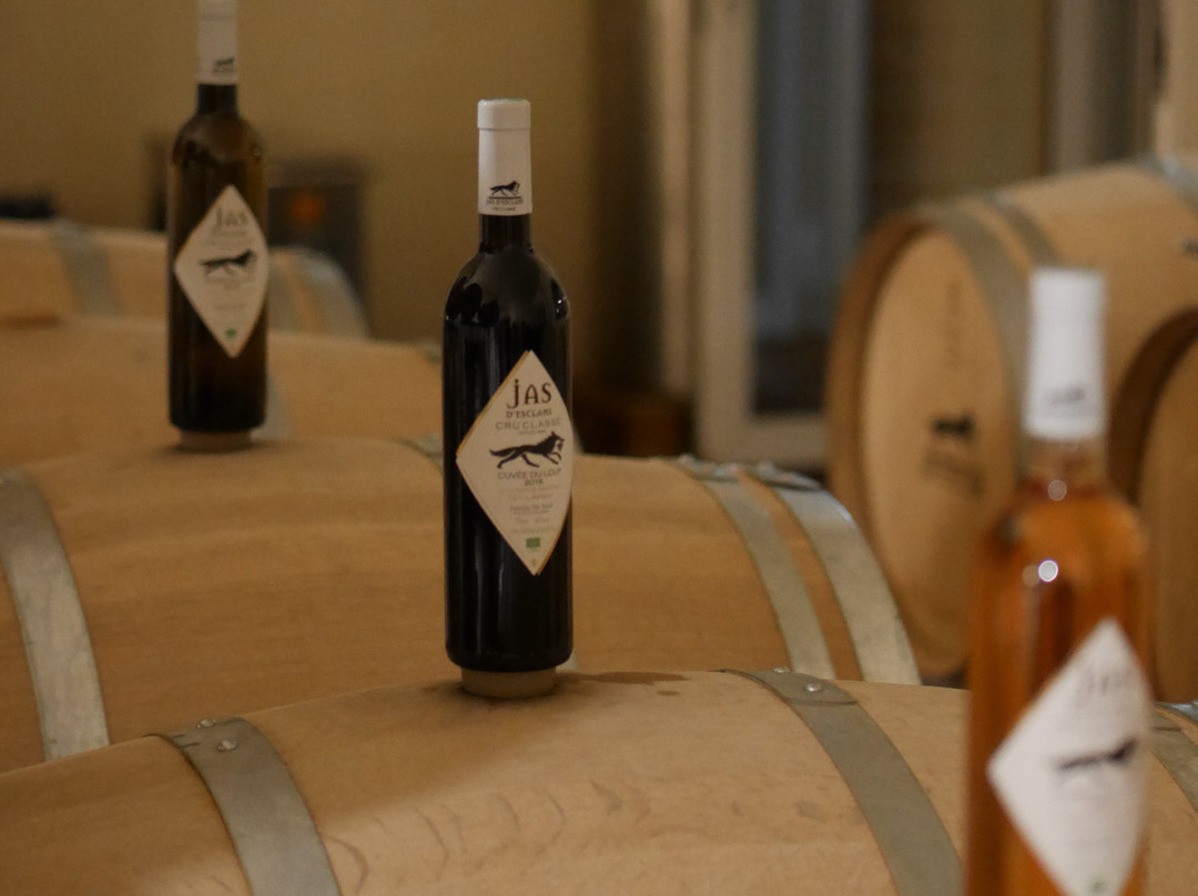 Domaine Du Jas d'Esclans景点图片