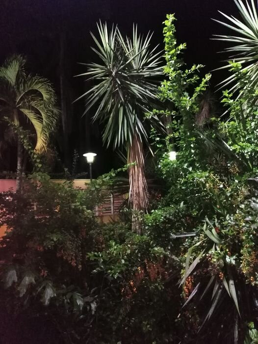 Zenitude Le Salako主图