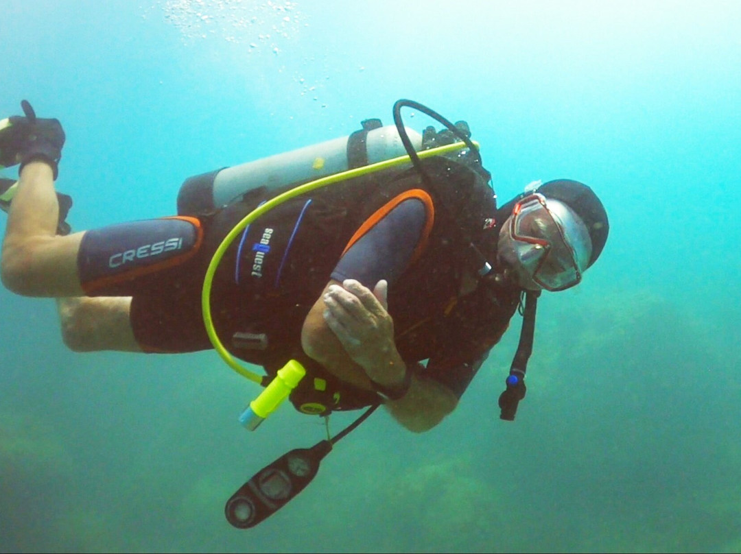 Antigua Scuba School-Jolly Harbour必去景点