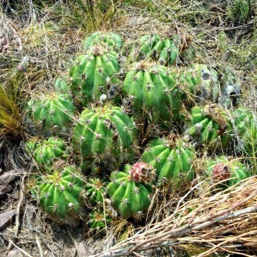 Bodega Enzo Bianchi-Tunuyan必去景点