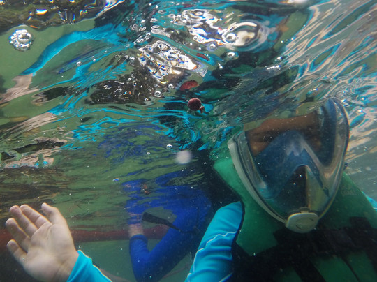 Casa do Turista - Travel Agency-康泊琉海水浴场必去景点