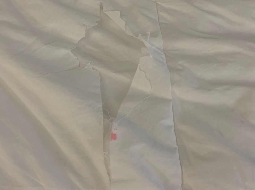 La Quinta Inn & Suites by Wyndham Cookeville主图