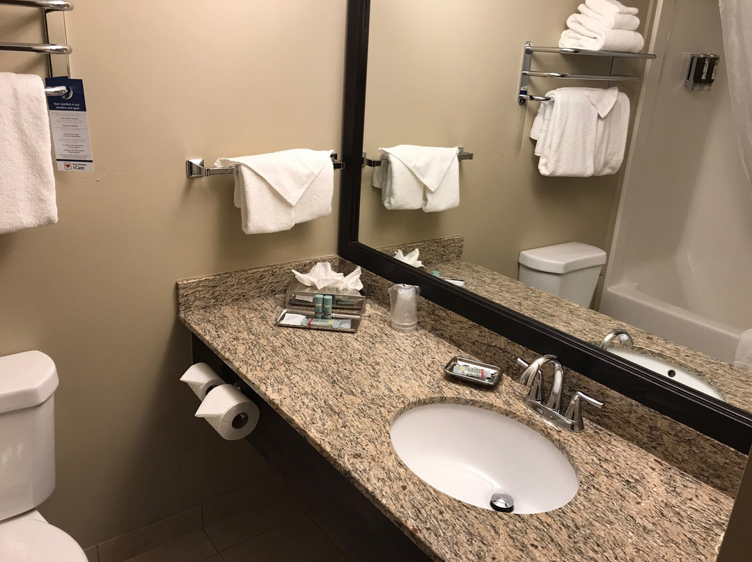 Best Western Rocky Mountain House Inn & Suites主图