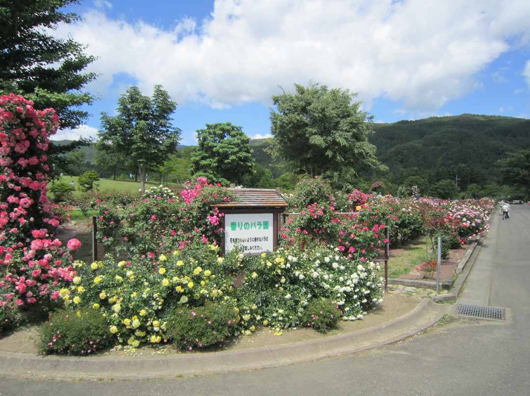 Azuma Sports Park-福岛市必去景点