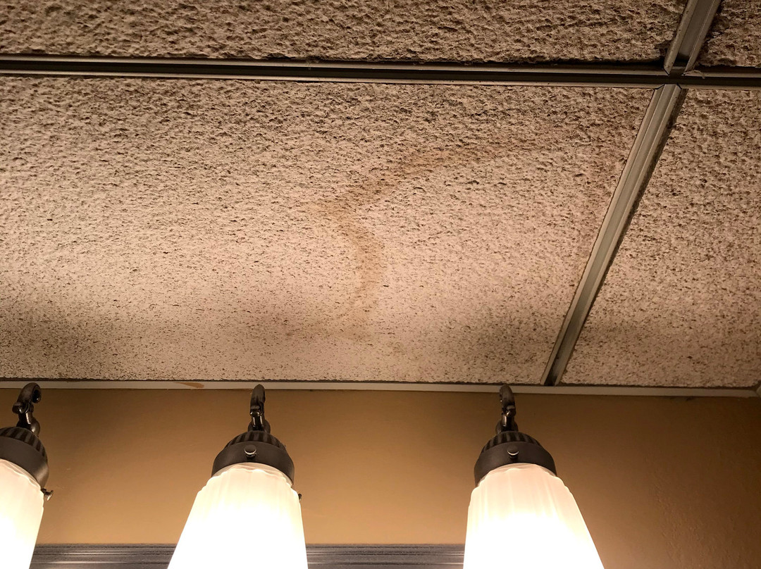 莱克兰特拉斯酒店，希尔顿启缤精选主图