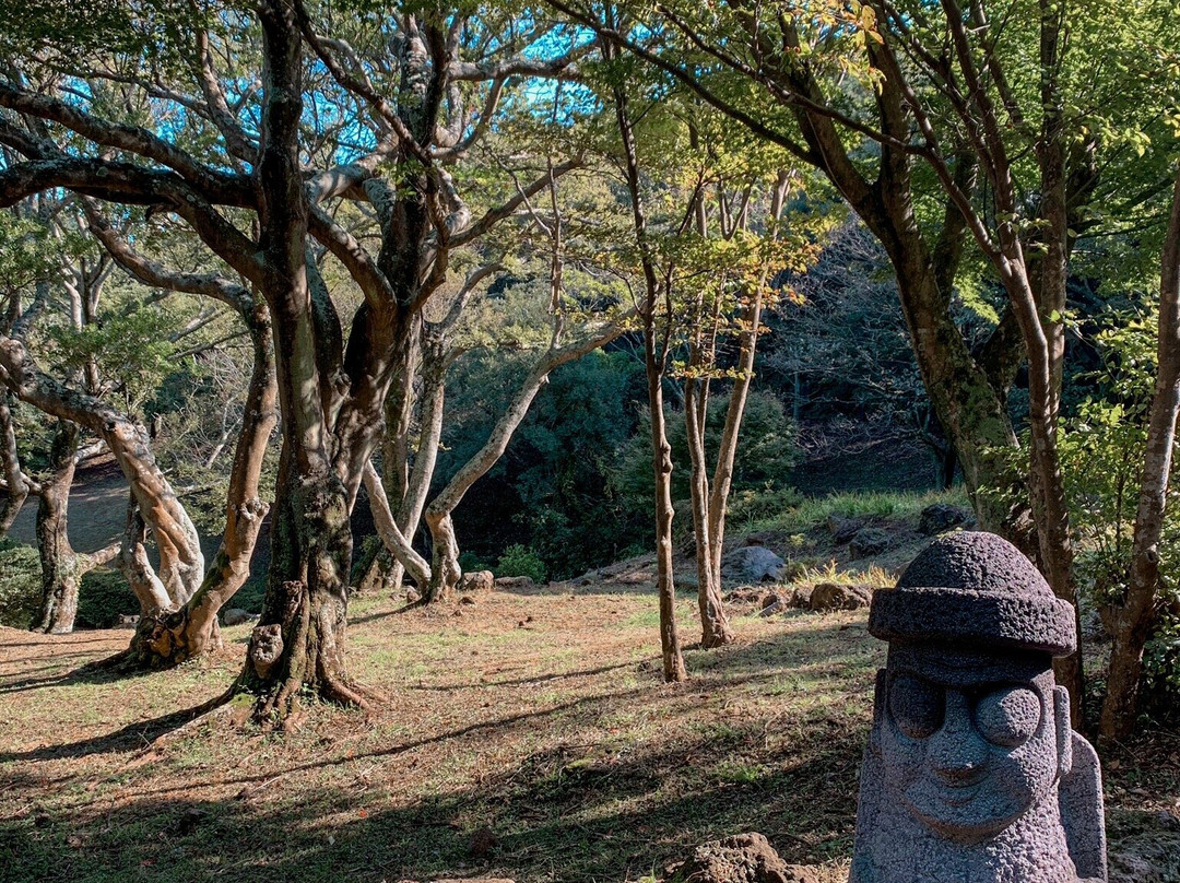 汉拿植物园-济州必去景点