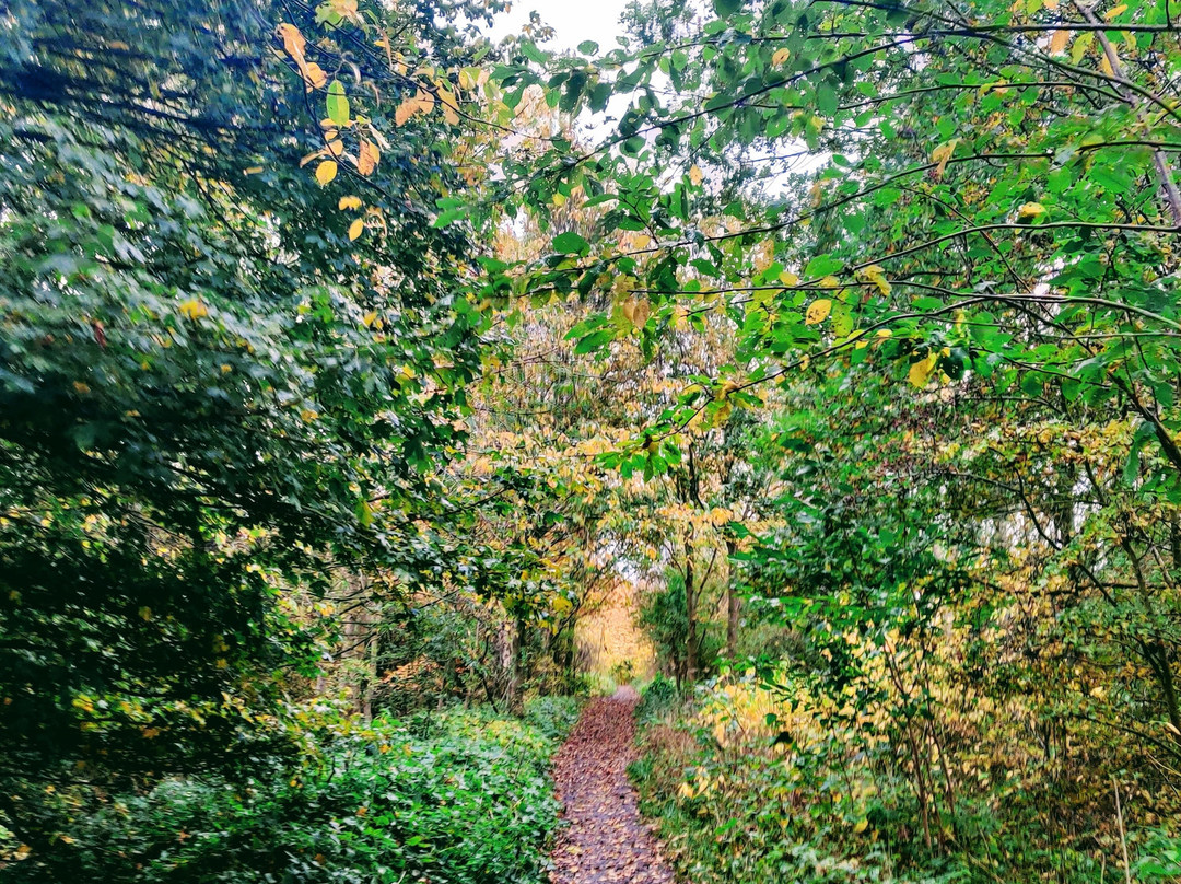 Wynyard Woodland Park-斯托克顿提斯必去景点