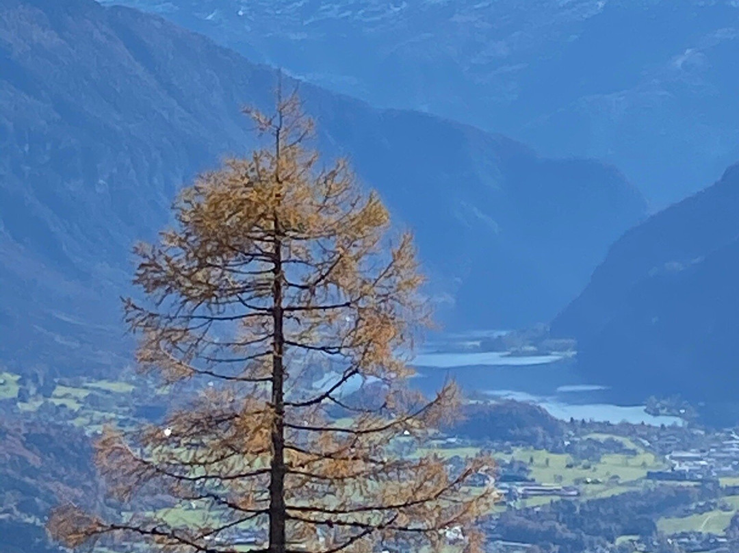 Katrin Cable Car-巴德伊舍必去景点