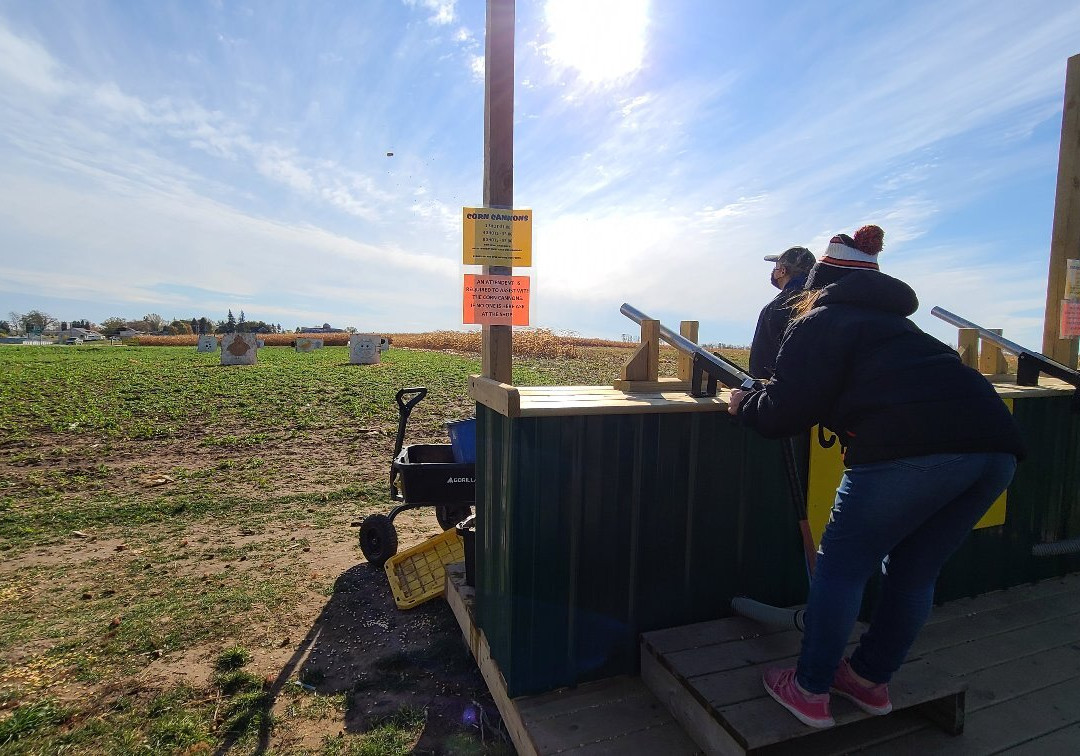 Polly's Pumpkin Patch-Chilton必去景点